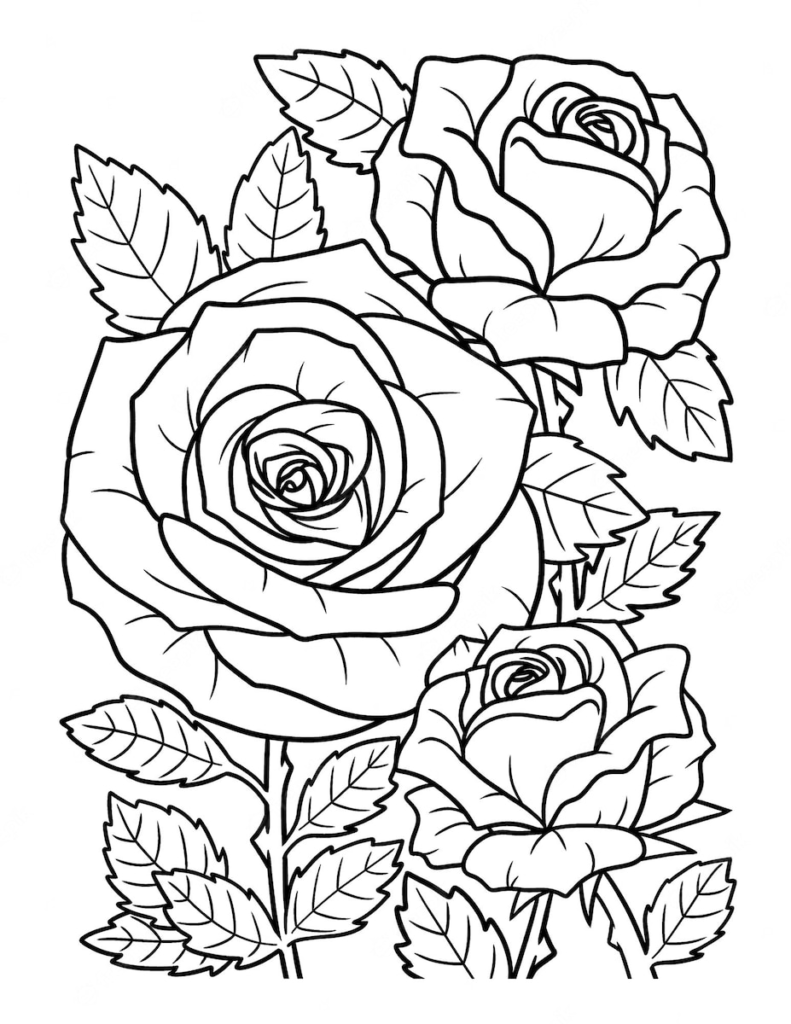 Coloriage de roses à imprimer